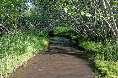 Creek